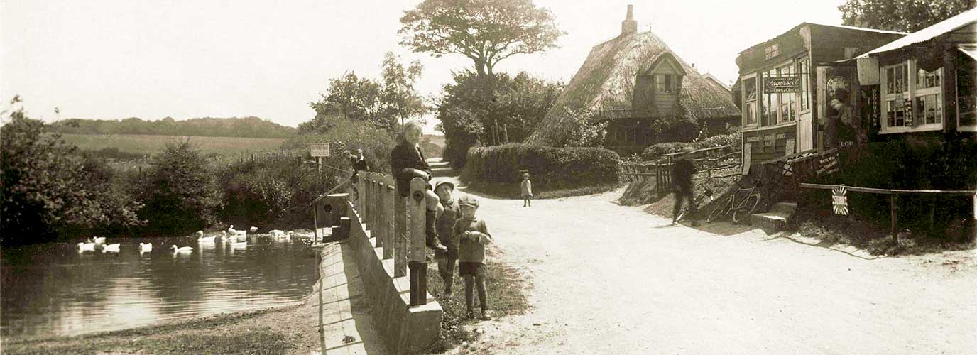 Ropley village pond circa 1900