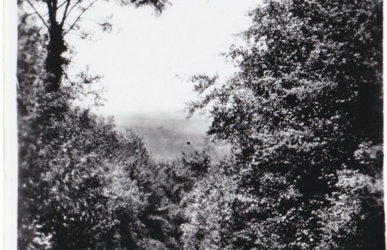 Photograph of Lyeway Lane, Ropley (2).