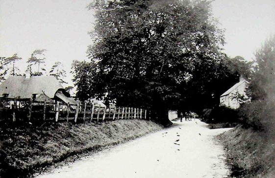 Petersfield Road, Ropley 1907
