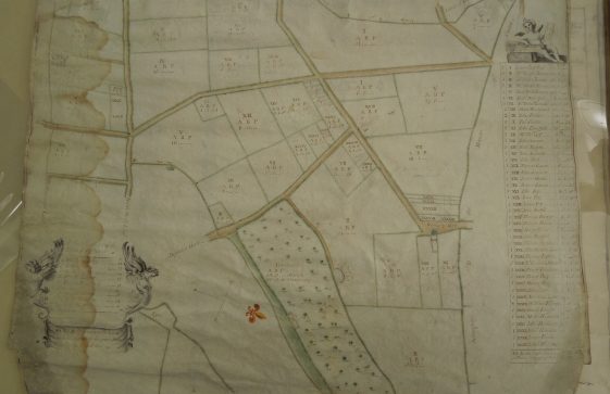 1747 Farringdon Enclosure Map 2